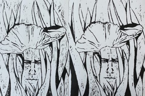 black and white drawing of faces in tall grasses in field